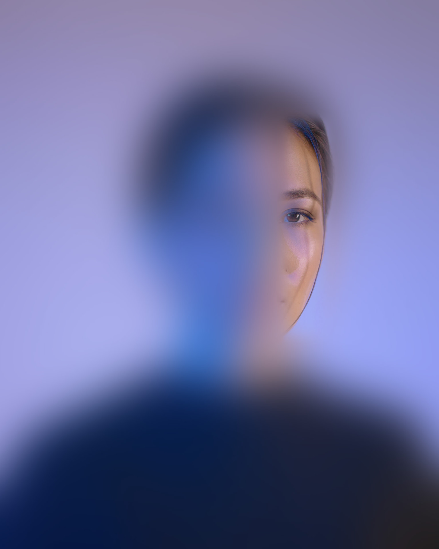 Consumer portrait representing Ravogen's behavioural panel